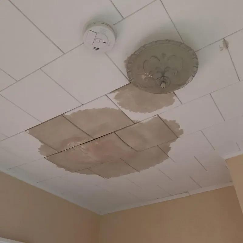 Ceiling Water Damage Repair in Warren, PA