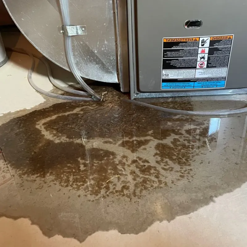 Pipe Burst and Leak Restoration in Warren, PA