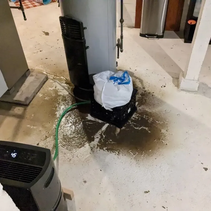Sewage Backup Cleanup Service in Warren, PA
